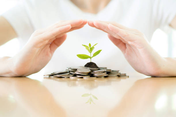 Low-Risk Investment in Japan: Top 5 Ways to Safely Invest in Japanese Assets